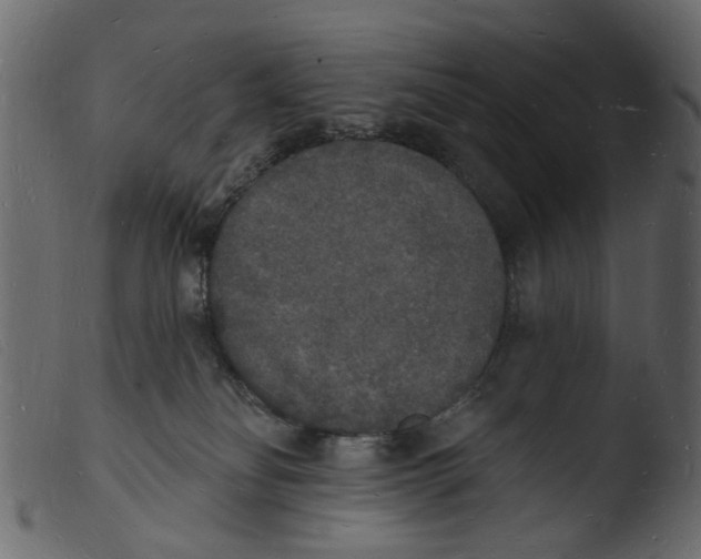 X0000103970134200810101317