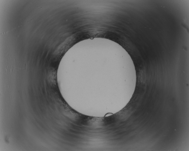 X0000103970138200810101317