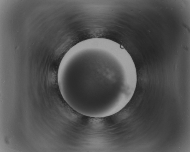 X0000103970139200810101317