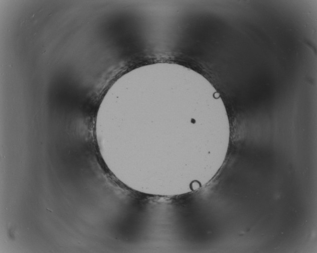 X0000103970140200810101317