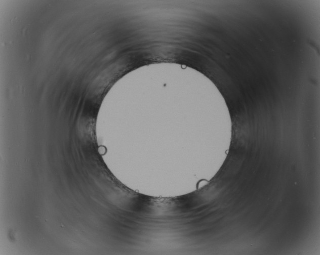 X0000103970141200810101317