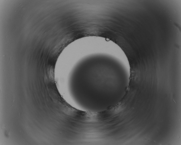 X0000103970143200810101317