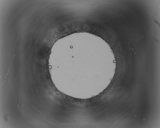 X0000103970144200810101317