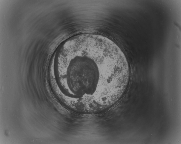 X0000103970145200810101316