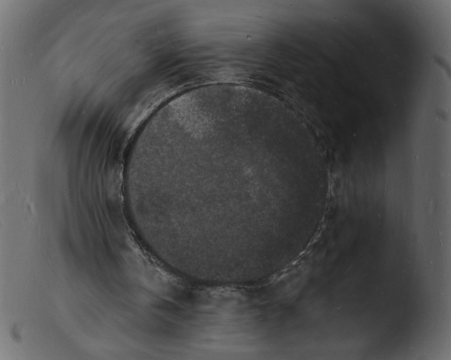 X0000103970146200810101316