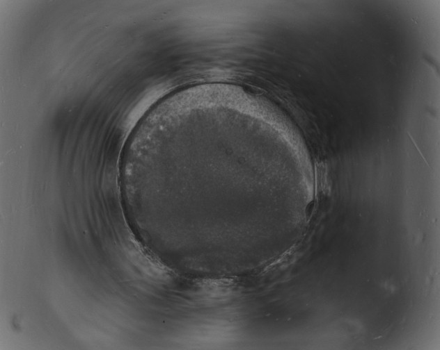 X0000103970147200810101316