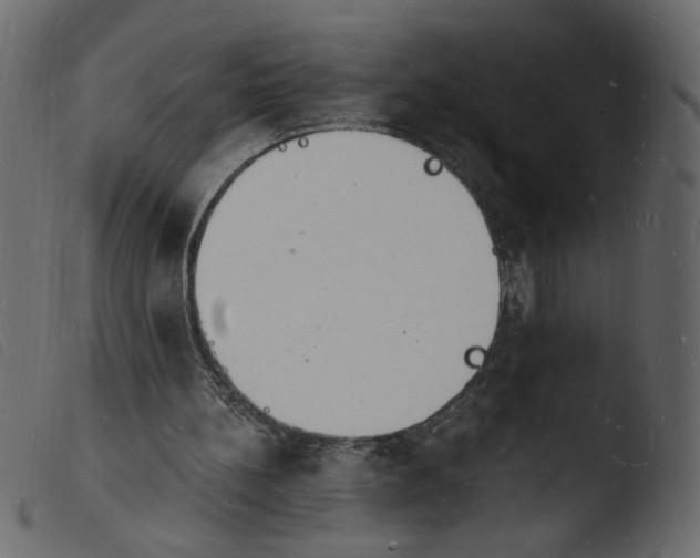 X0000103970148200810101316