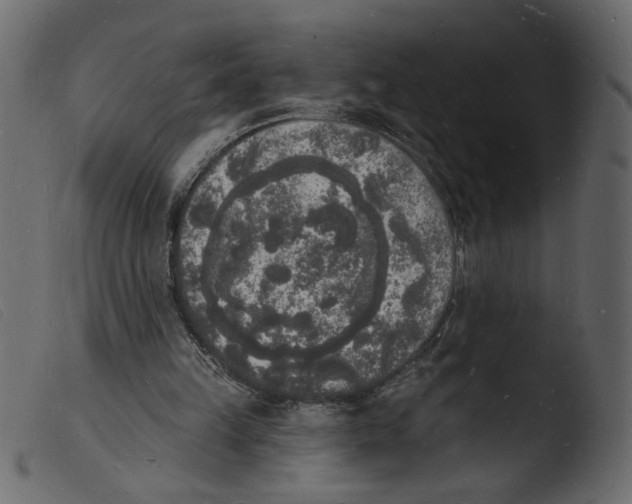 X0000103970149200810101316