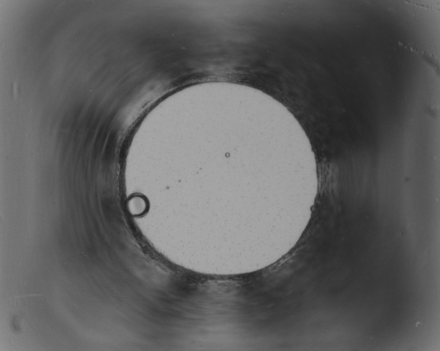 X0000103970150200810101316