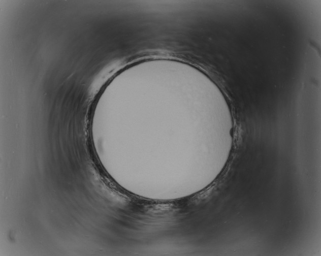 X0000103970151200810101316