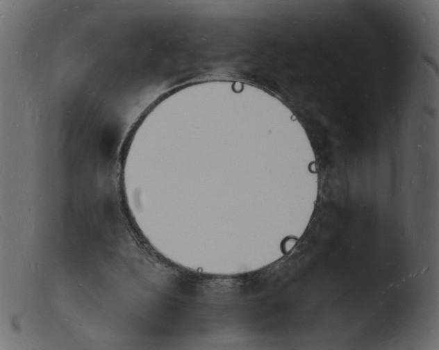 X0000103970152200810101316