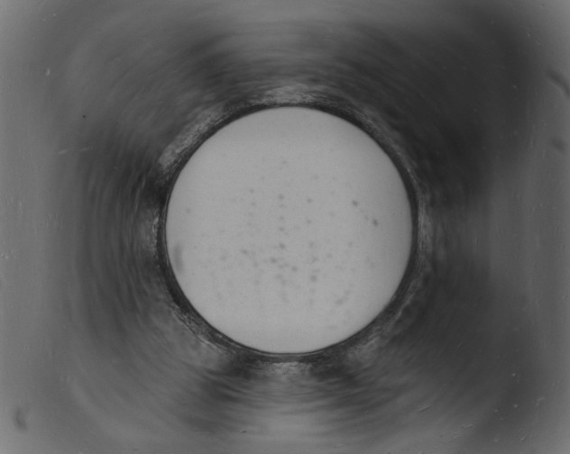 X0000103970153200810101316