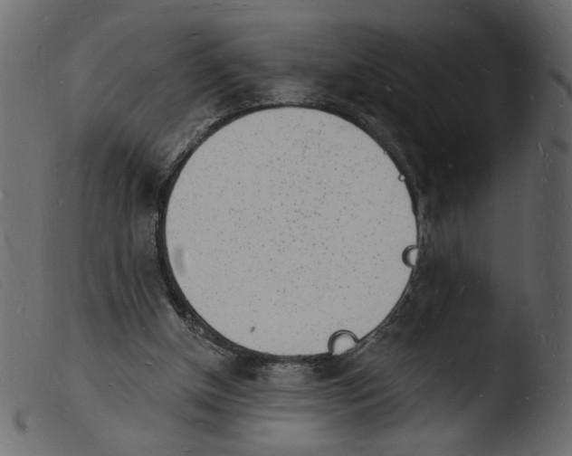 X0000103970154200810101316