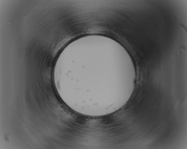 X0000103970155200810101316