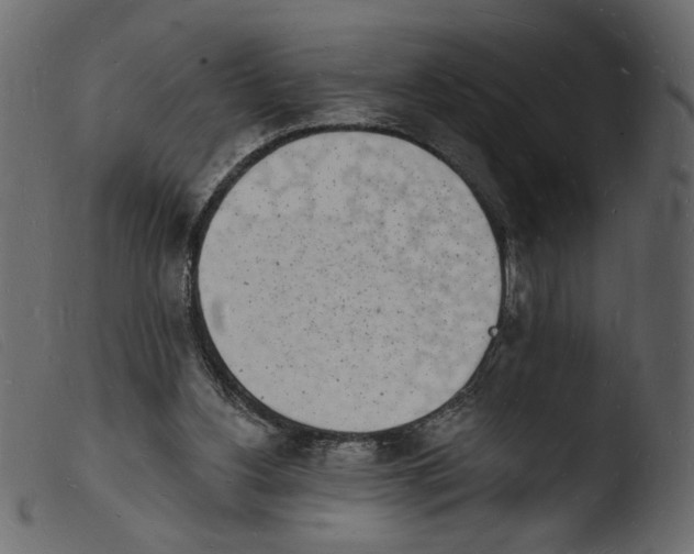 X0000103970156200810101316