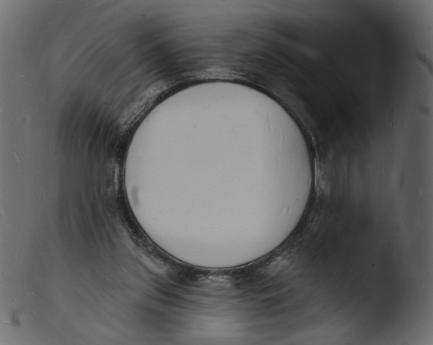 X0000103970157200810101317