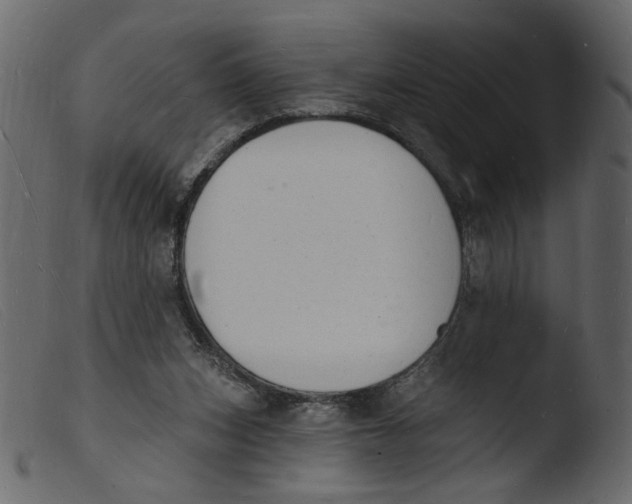 X0000103970159200810101317