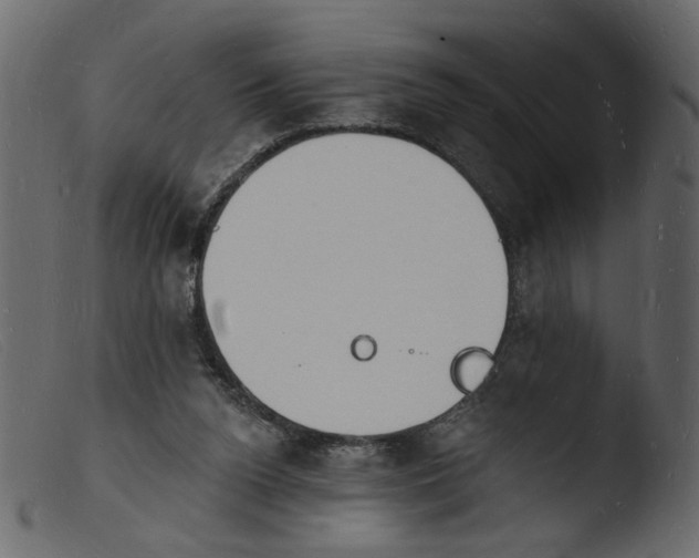 X0000103970160200810101317