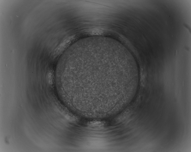 X0000103970161200810101317