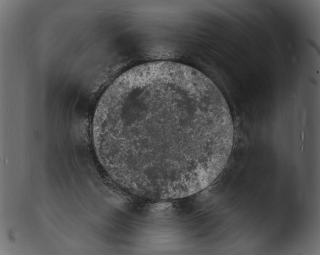 X0000103970162200810101317