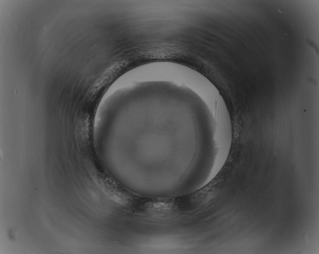 X0000103970163200810101317