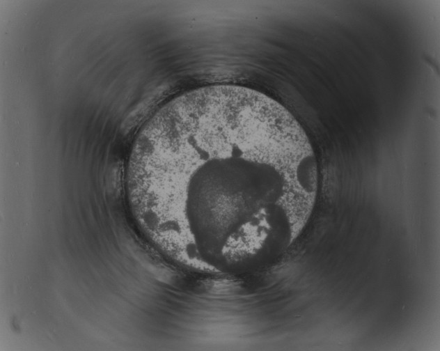 X0000103970165200810101317