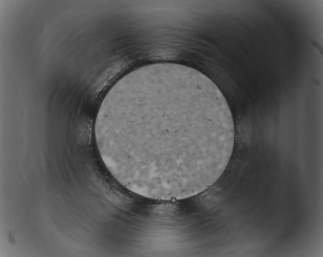 X0000103970168200810101317