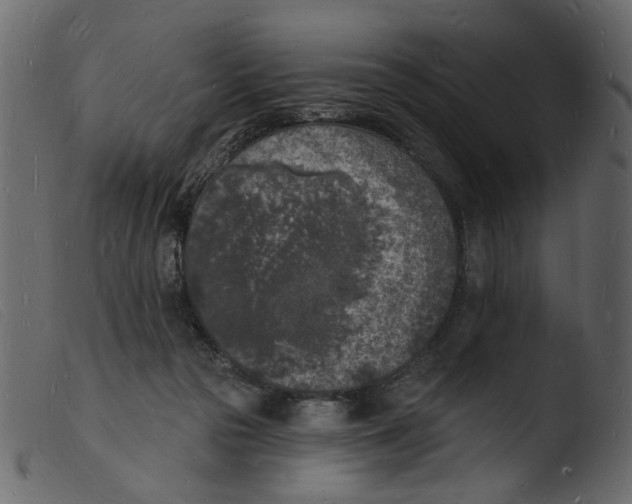 X0000103970169200810101317