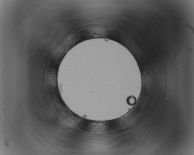 X0000103970170200810101317