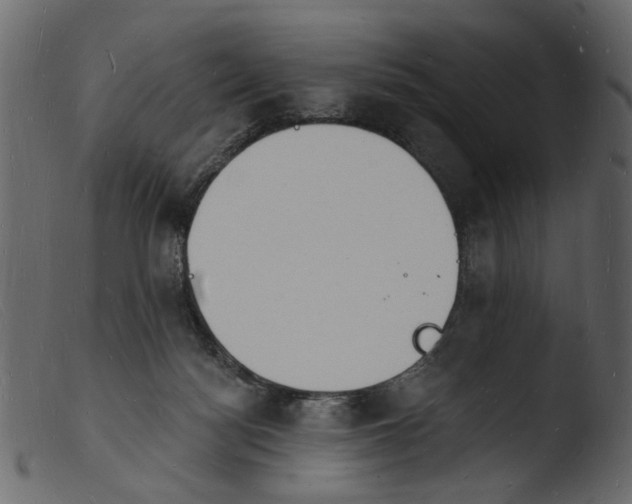 X0000103970172200810101317