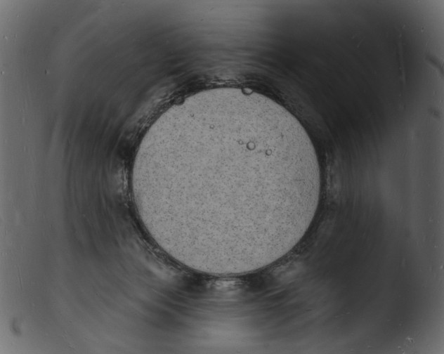 X0000103970173200810101317