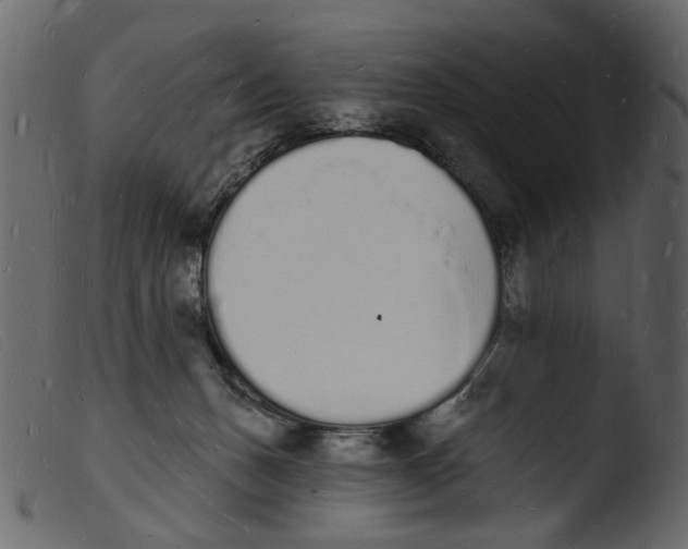 X0000103970175200810101317