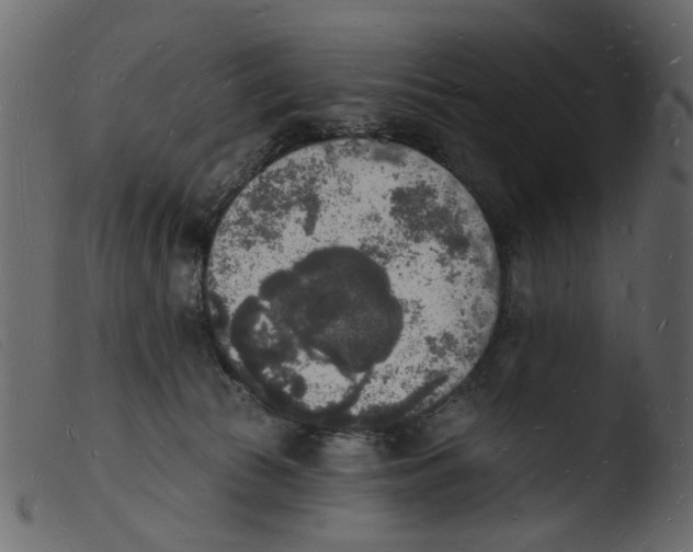 X0000103970177200810101317