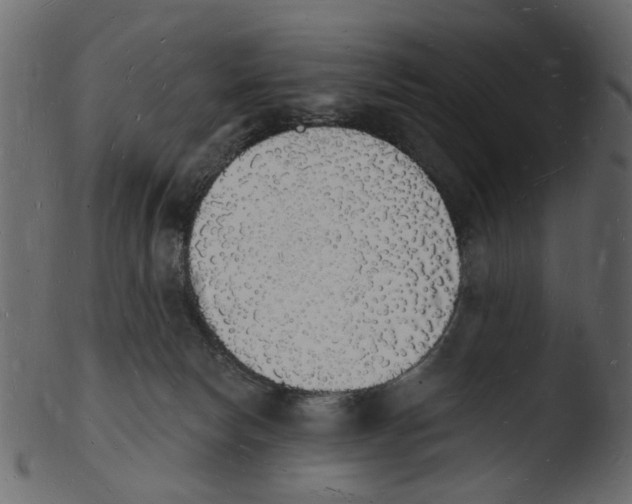 X0000103970178200810101317