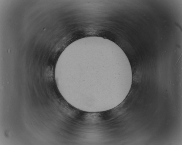 X0000103970179200810101317