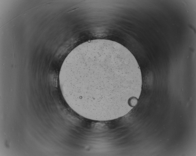 X0000103970180200810101317