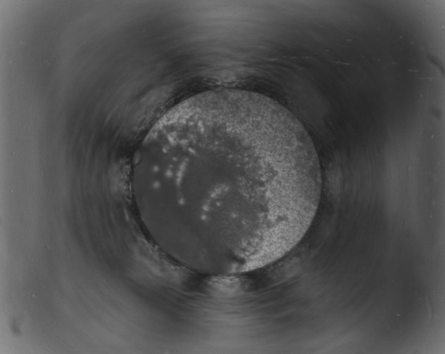 X0000103970181200810101317