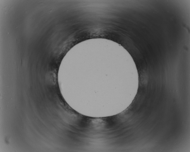 X0000103970183200810101317