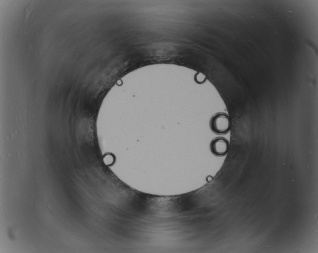 X0000103970184200810101317