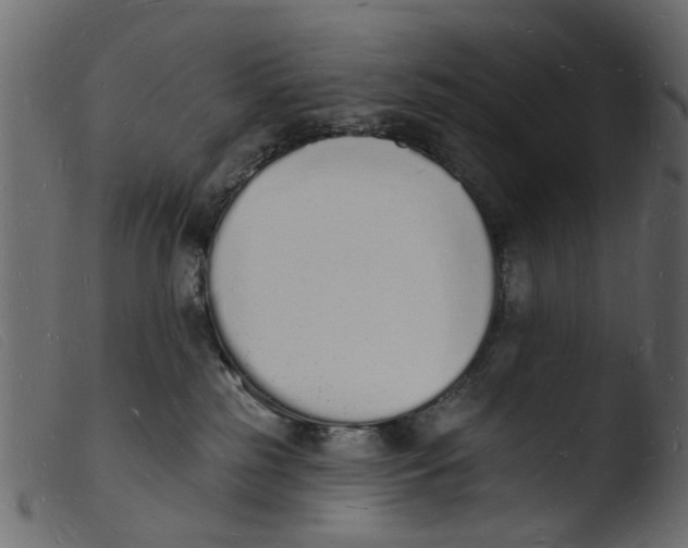 X0000103970185200810101317