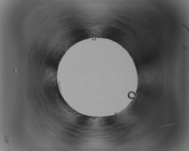 X0000103970186200810101317