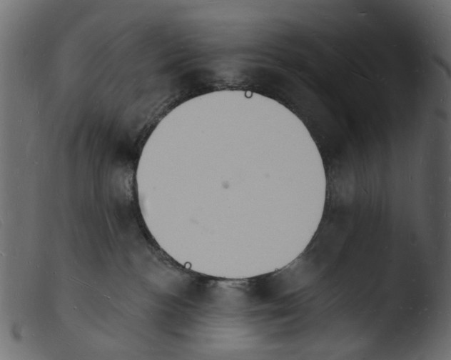 X0000103970188200810101317