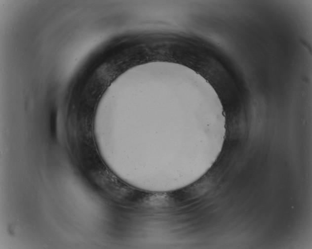 X0000103970189200810101317