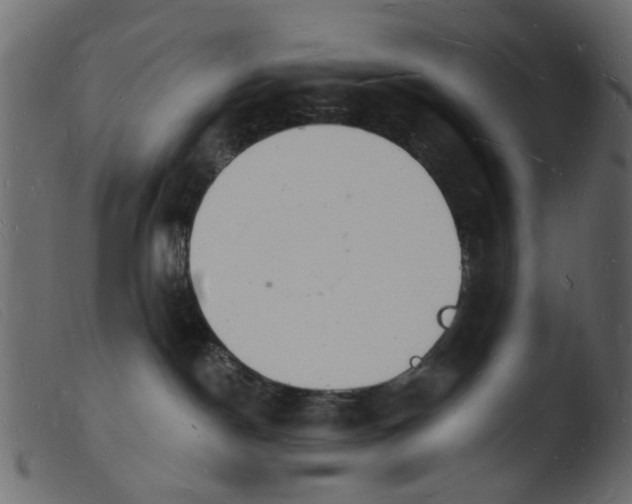 X0000103970190200810101317