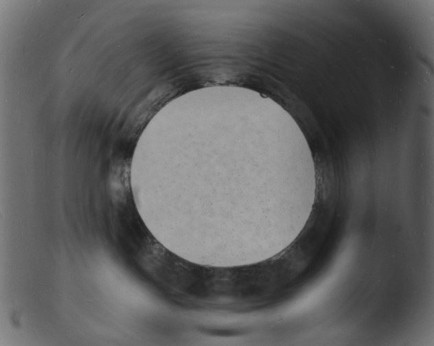 X0000103970191200810101317