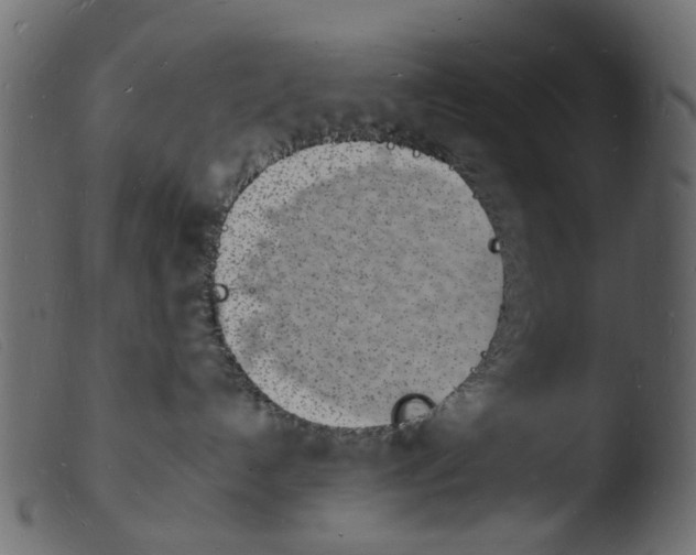 X0000103970192200810101317