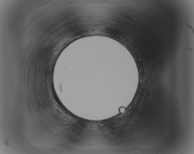 X0000103970193200810101316