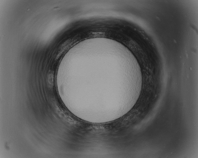 X0000103970194200810101316