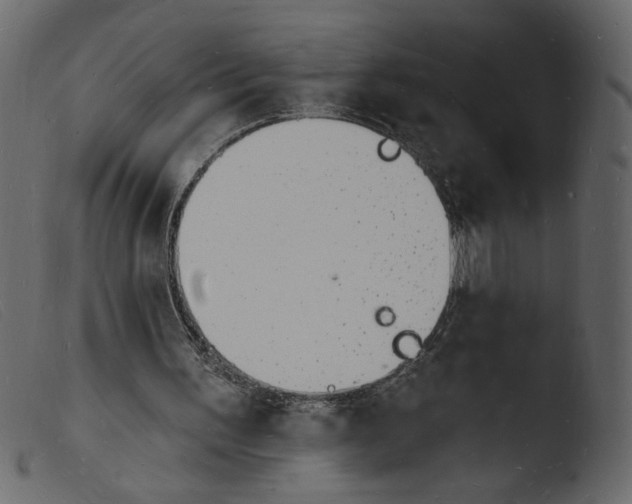 X0000103970195200810101316