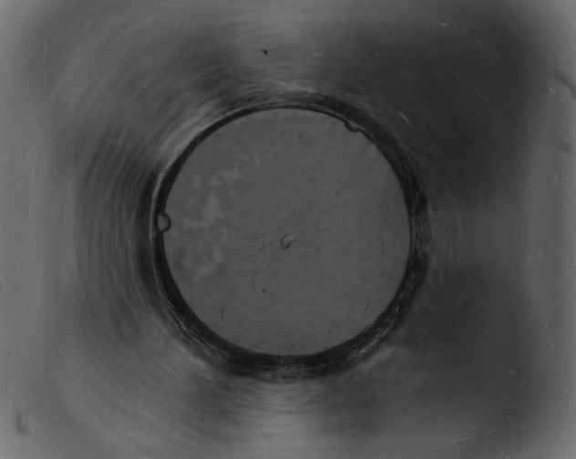 X0000103970196200810101316